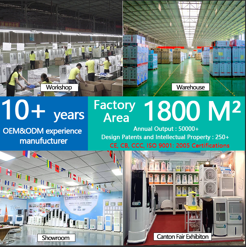 Cool the world deliver with precision: Your trusted partner RBW company